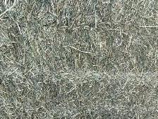 Large square bales