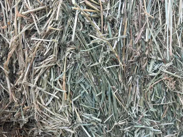 Large square bales - Photo 2