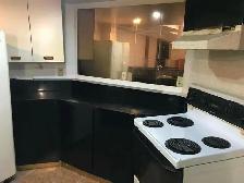 Basement for Rent - AVAILABLE NOW Brimley Rd and Steeles Ave) - Photo 2