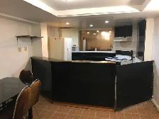 Basement for Rent - AVAILABLE NOW Brimley Rd and Steeles Ave) - Photo 3