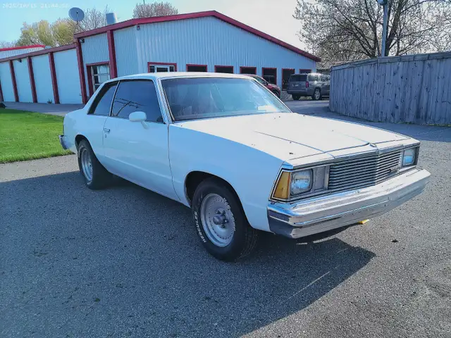 1981 Malibu - Photo 2