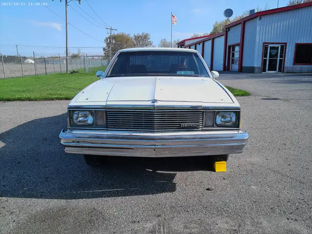 1981 Malibu - Photo 5