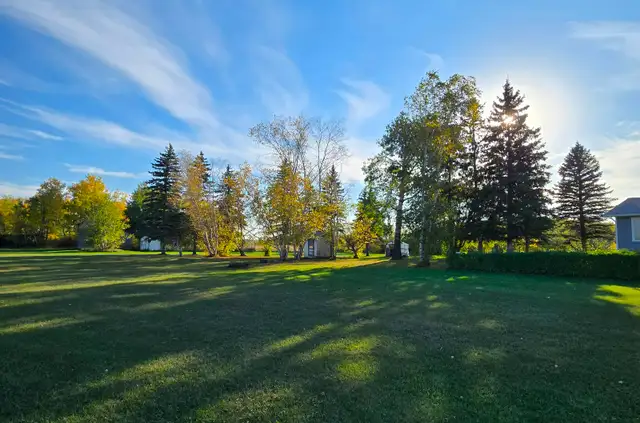 80 acres land with 3 BR bungalow - Photo 6