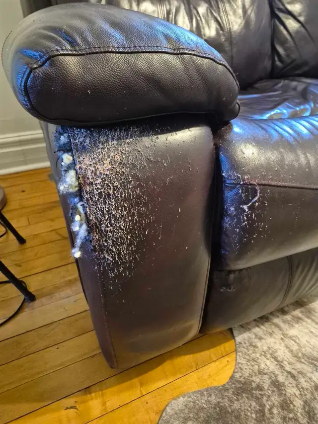 ! FREE, WELL-MADE, LEATHER RECLINING COUCH ! - Photo 3