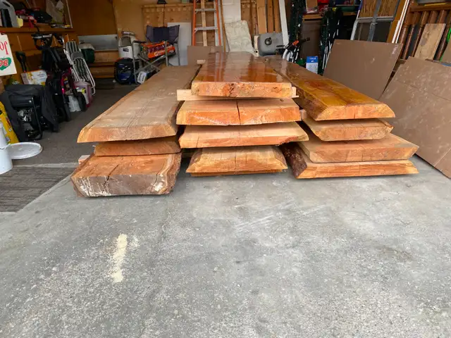 12 Pieces of Fir