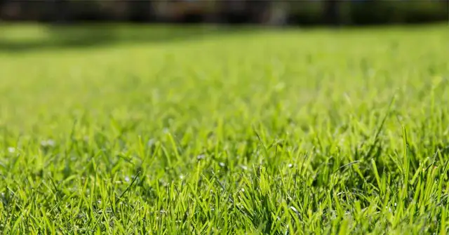 Aeration and Power Rake at Reasonable Rate