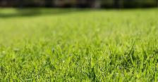 Aeration and Power Rake at Reasonable Rate