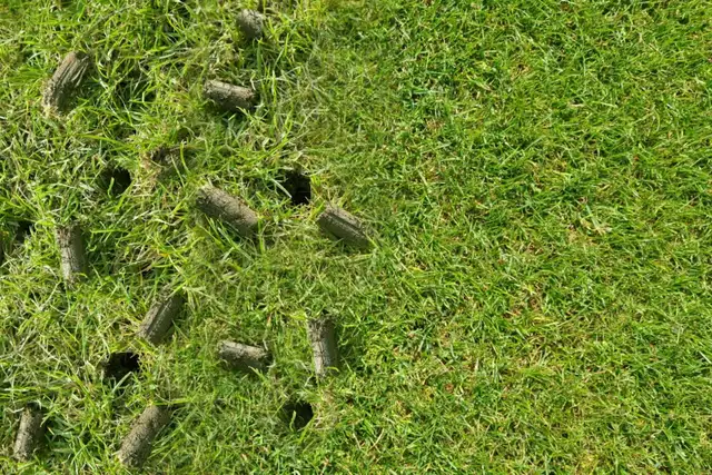 Aeration and Power Rake at Reasonable Rate - Photo 2