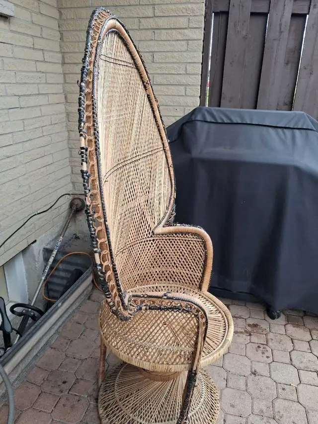 Vintage Peacock wicker chair - Photo 2