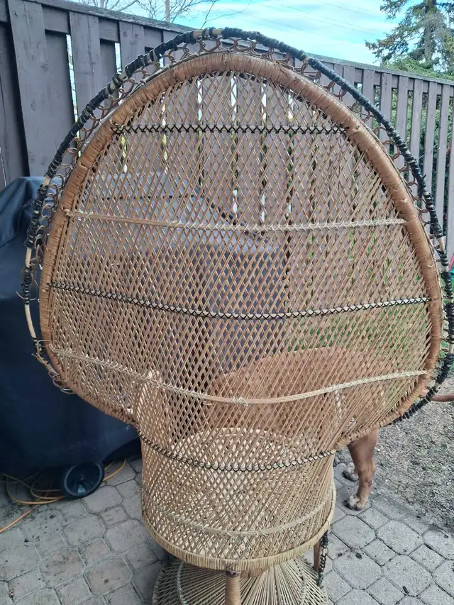 Vintage Peacock wicker chair - Photo 3