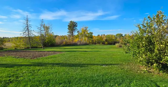 3 BR Bungalow in a peaceful country setting w/ 80 acres land - Photo 10