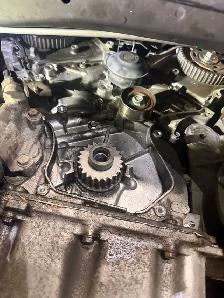 looking for Automotive Mechanic
