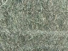 Large square bales