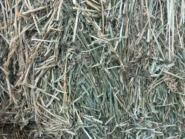 Large square bales - Photo 2