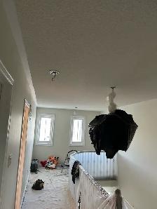 popcorn removal, house painting , taping mudding