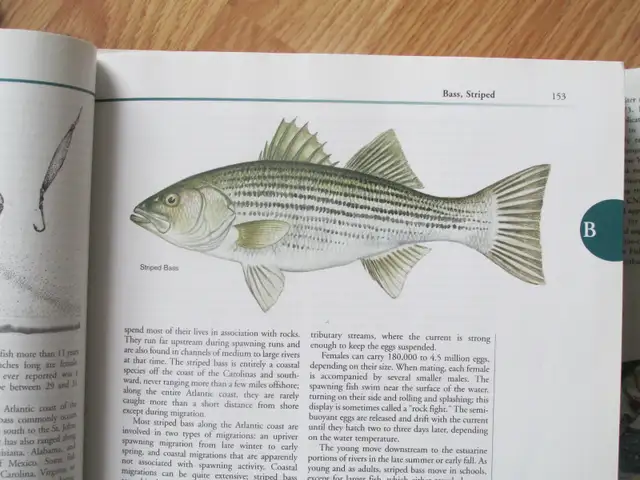 KEN SCHULTZ'S FISHING ENCYCLOPEDIA - 2000 HC - Photo 5