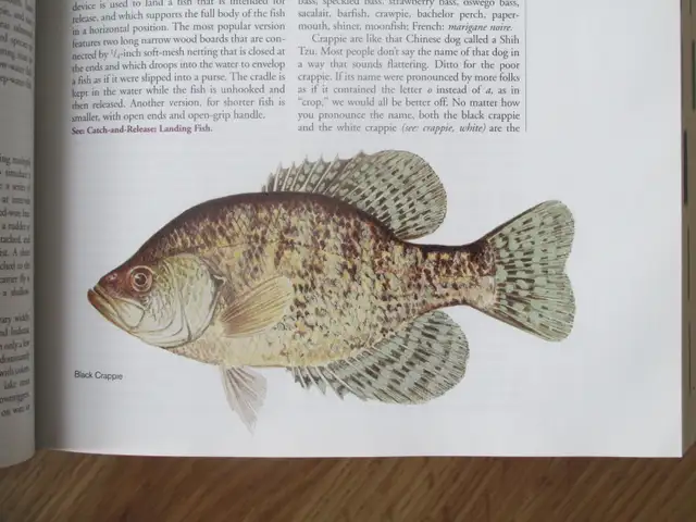 KEN SCHULTZ'S FISHING ENCYCLOPEDIA - 2000 HC - Photo 6