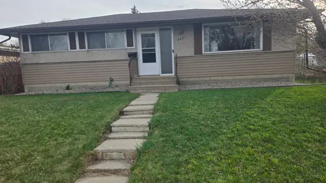 Looking for a roommate