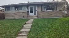 Looking for a roommate