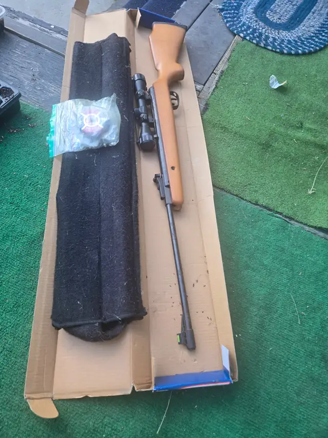 Bb gun need to get rid of