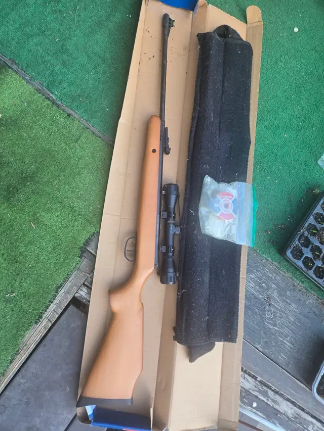 Bb gun need to get rid of - Photo 2