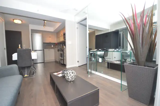 Luxurious 2 Bedroom   2 Bathroom Condo/Renovated/Downtown T.O. - Photo 3