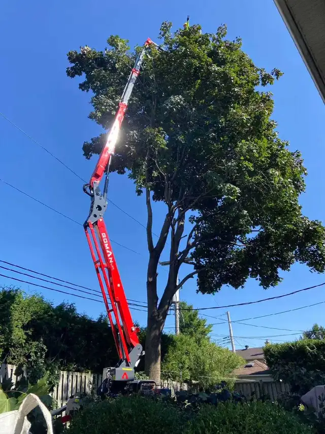 8_36m work Height. spiderlift for tree cutting and removal - Photo 6