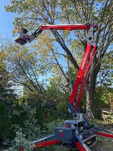 8_36m work Height. spiderlift for tree cutting and removal - Photo 7