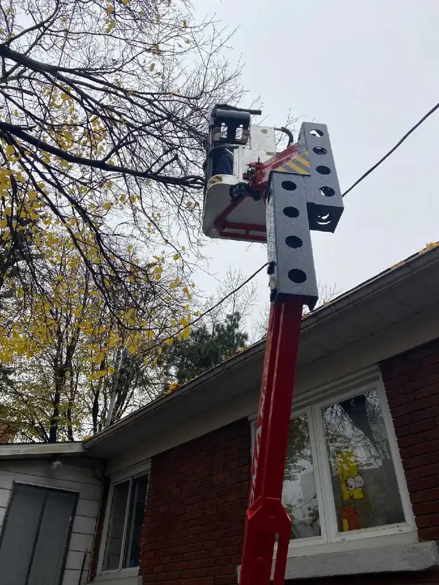 8_36m work Height. spiderlift for tree cutting and removal - Photo 10