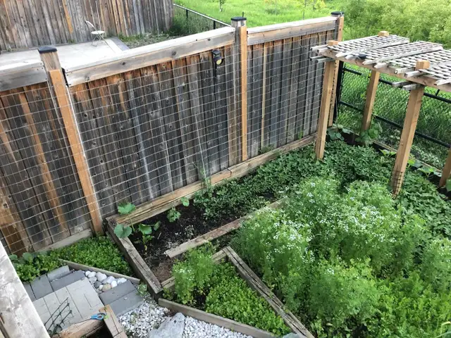 Brampton Basement for Rent