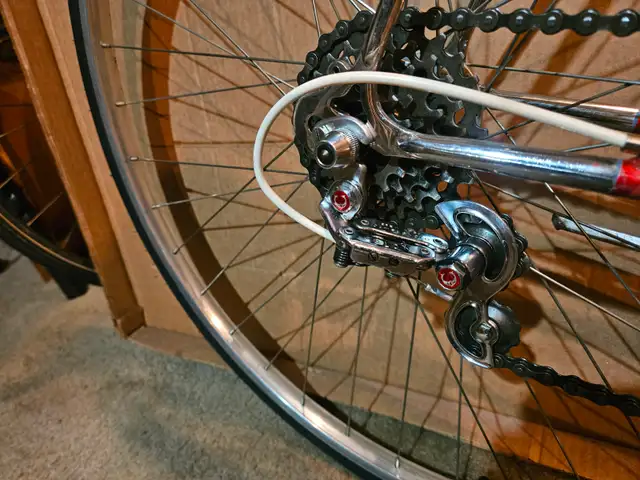 Vintage Bottecchia Road Bike - Photo 3