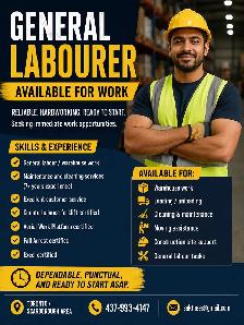 Looking for cash job