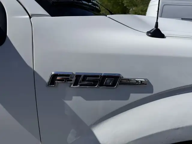 2014 Ford F-150 Regular Cab 6.5 Foot Box Pickup - Photo 28