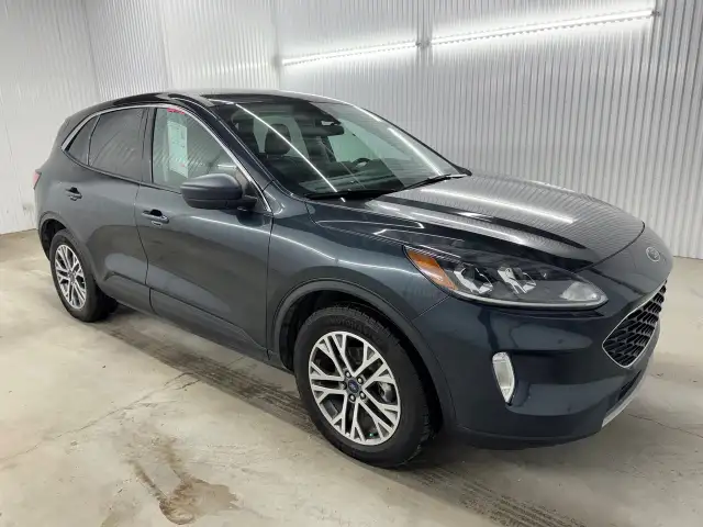 Ford Escape Sel Hybrid Awd Mags 2022 - Photo 3