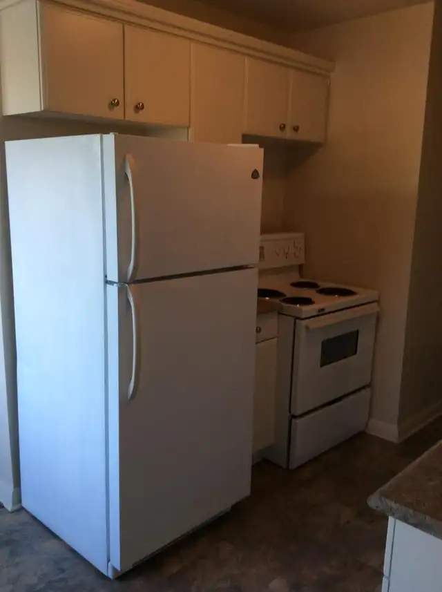 Newly Renovated Large 2 Bedroom Available July1 $1750.00 - Photo 6