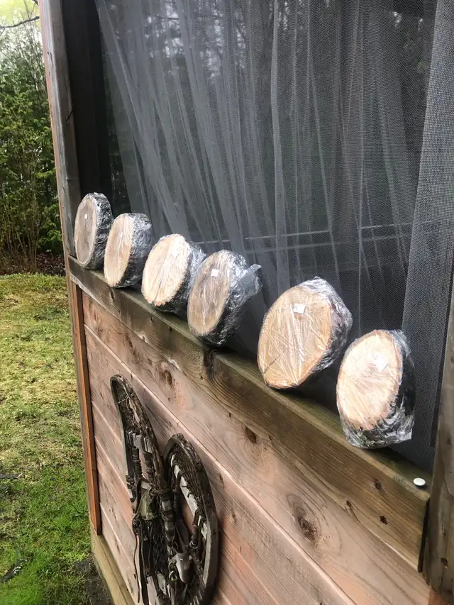 Grande variété de tranches de bois en vente - Photo 8