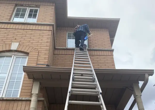 WINDOW & GUTTER CLEANING • PRESSURE WASHING30 YEARS OF E - Photo 3