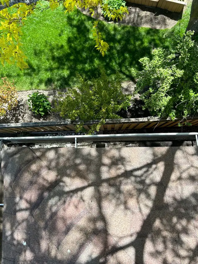 WINDOW & GUTTER CLEANING • PRESSURE WASHING30 YEARS OF E - Photo 4