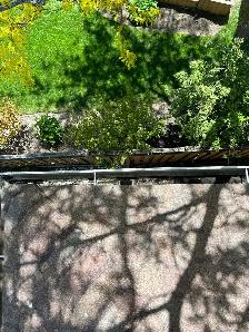 WINDOW & GUTTER CLEANING • PRESSURE WASHING30 YEARS OF E - Photo 4