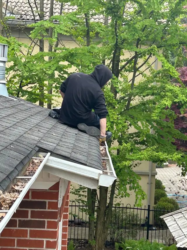 GUTTER & WINDOW CLEANING • PRESSURE WASHING