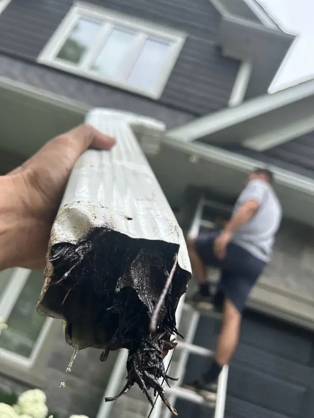 GUTTER & WINDOW CLEANING • PRESSURE WASHING - Photo 3