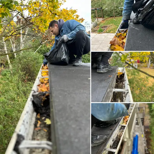 GUTTER & WINDOW CLEANING • PRESSURE WASHING - Photo 5