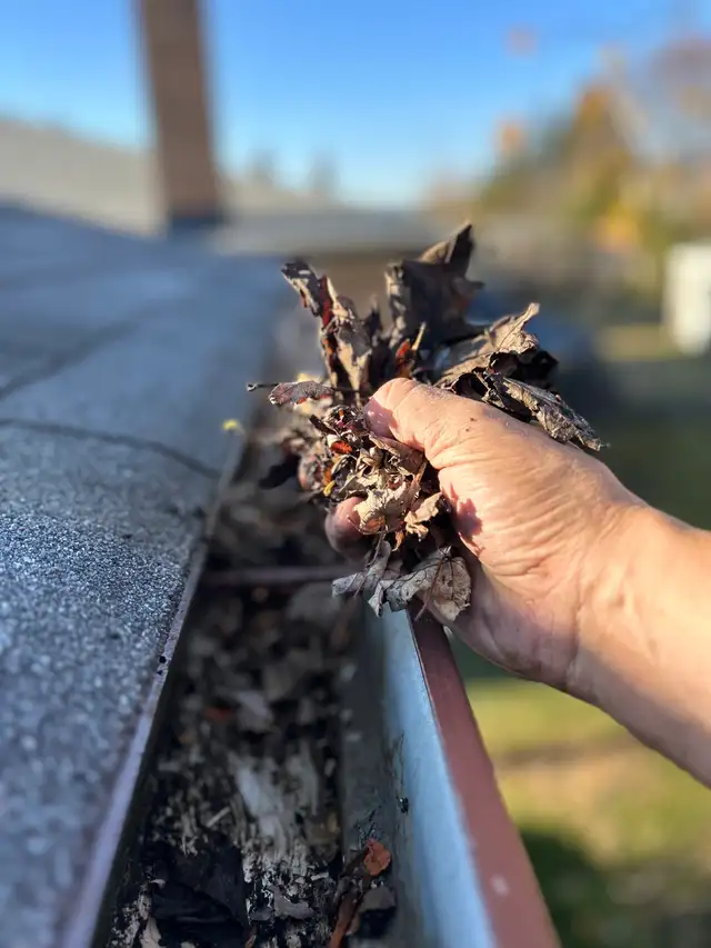 GUTTER & WINDOW CLEANING • PRESSURE WASHING - Photo 8