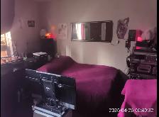 Chambre à partager court terme. GRATUIT