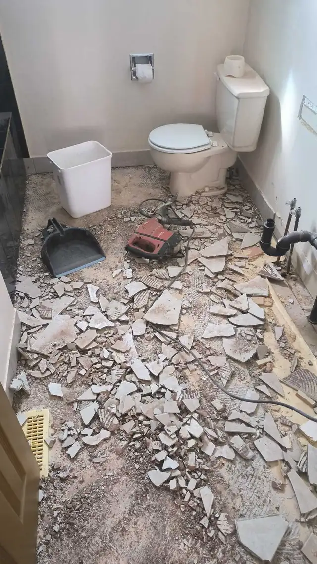 CHEAP 5-STAR LABOUR! 647-571-9326 (CONSTRUCTION, GARDEN, ETC) - Photo 10