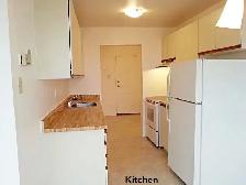 One Bedroom High Rise Condo Rental Unit Available July 15 - Photo 3