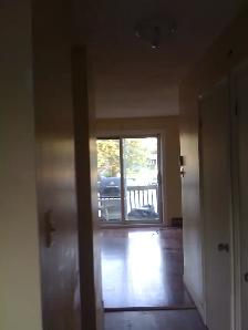 Nice bachelor for rent - Photo 2