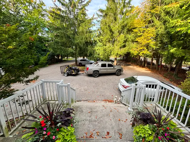 Yard Help