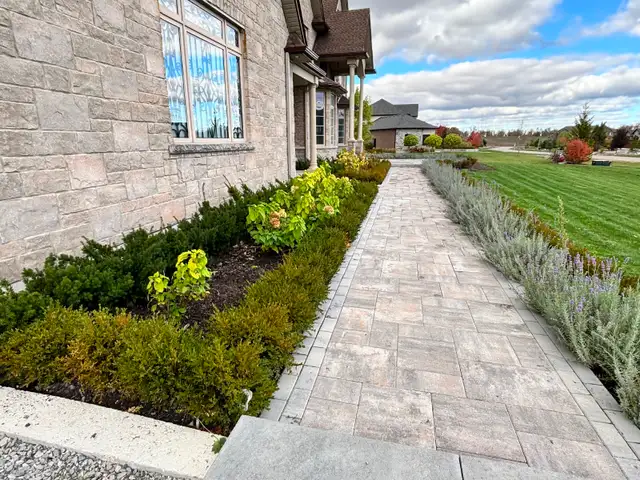 Yard Help - Photo 3