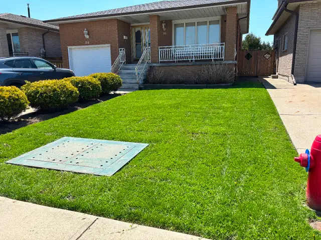 Yard Help - Photo 8